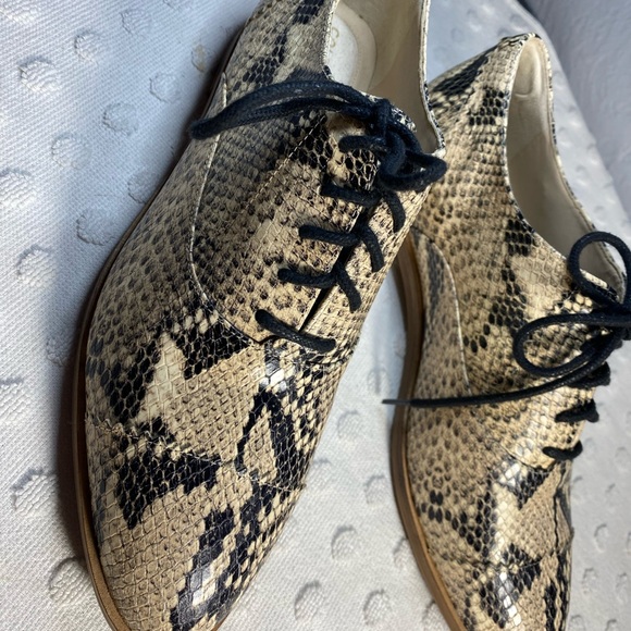 COLE HAAN Modern Classic Oxford - Python Printed Leather - Picture 13 of 16